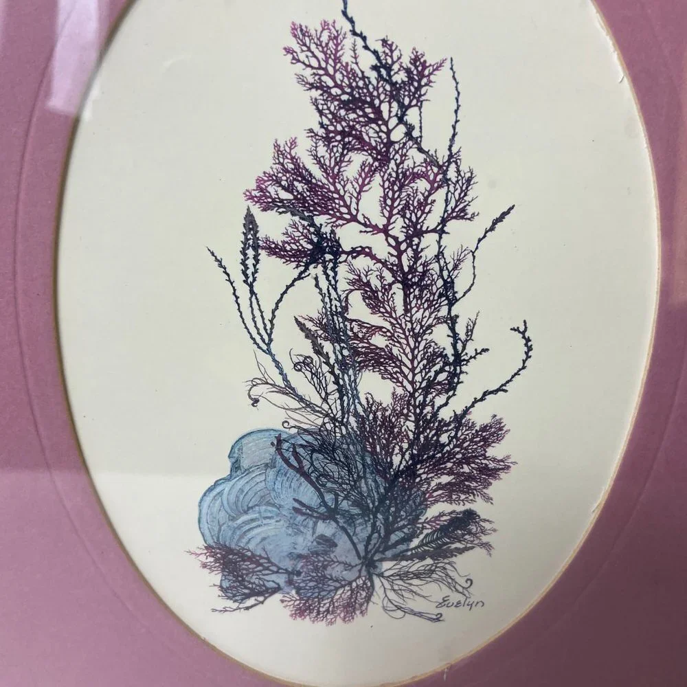Original Litbograph Handcrafted Seaweed  Hawaiian Reefs